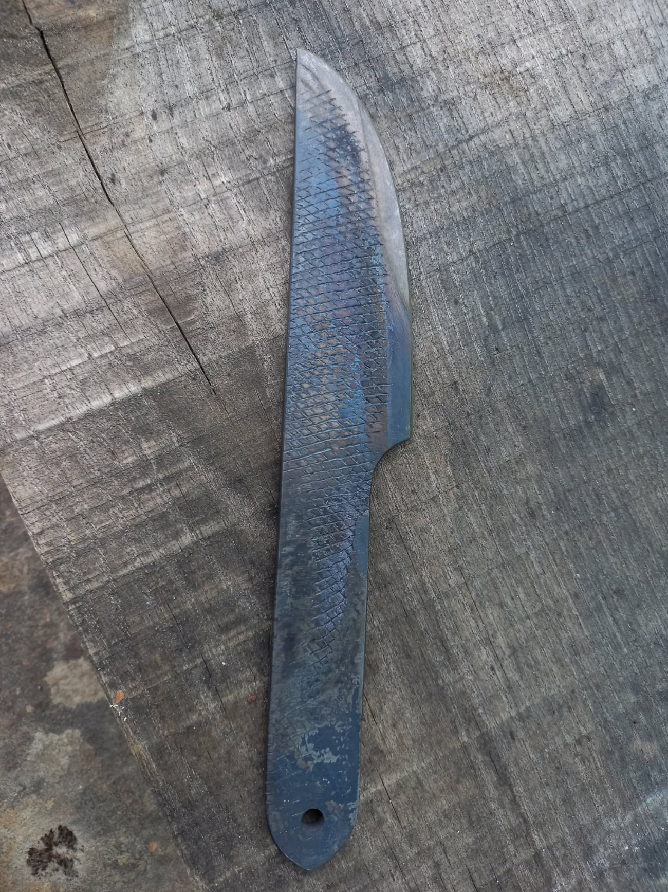 SMALL EVERY DAY CARRY KNIFE "FISH"